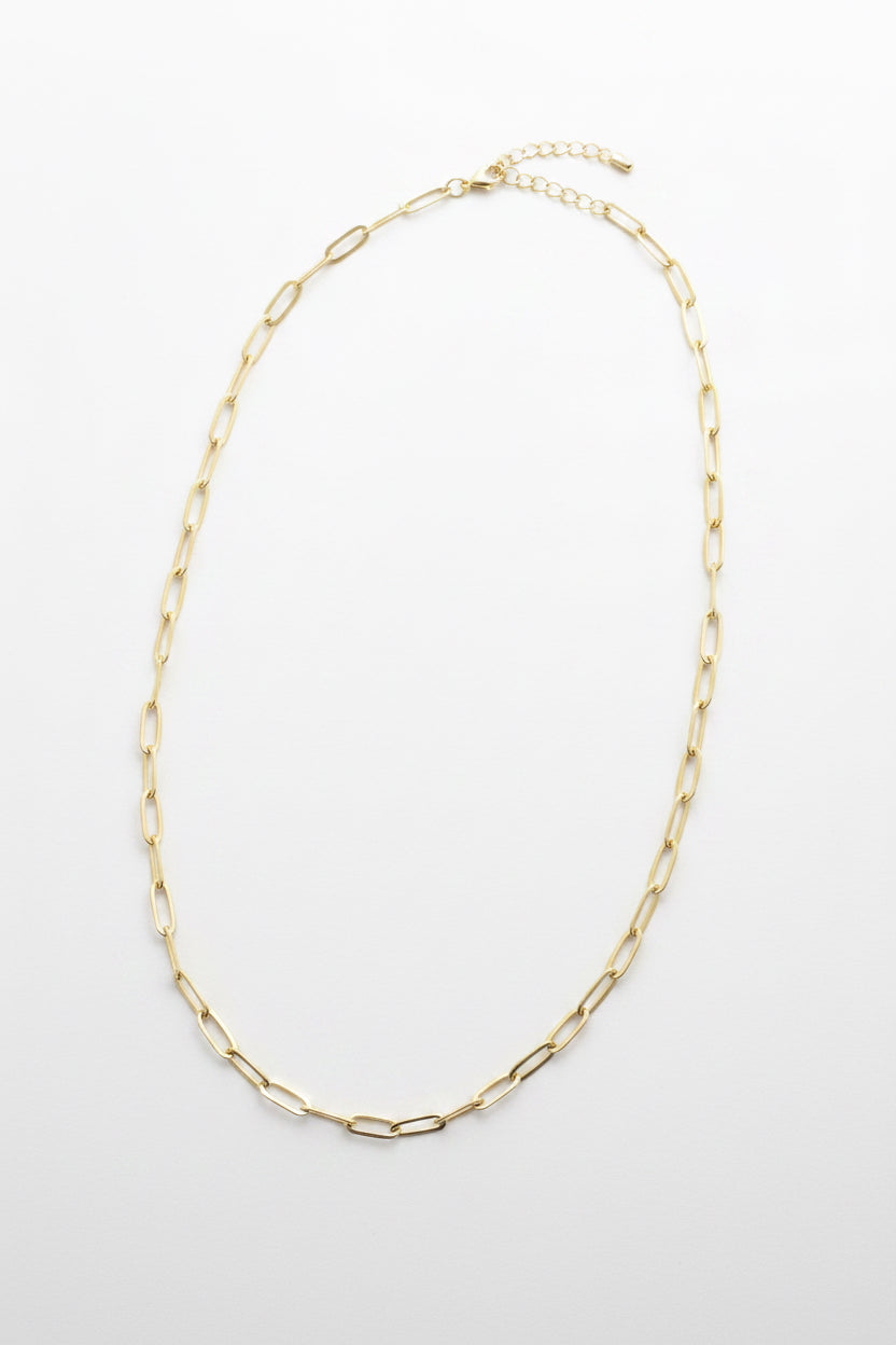 Paperclip Necklace